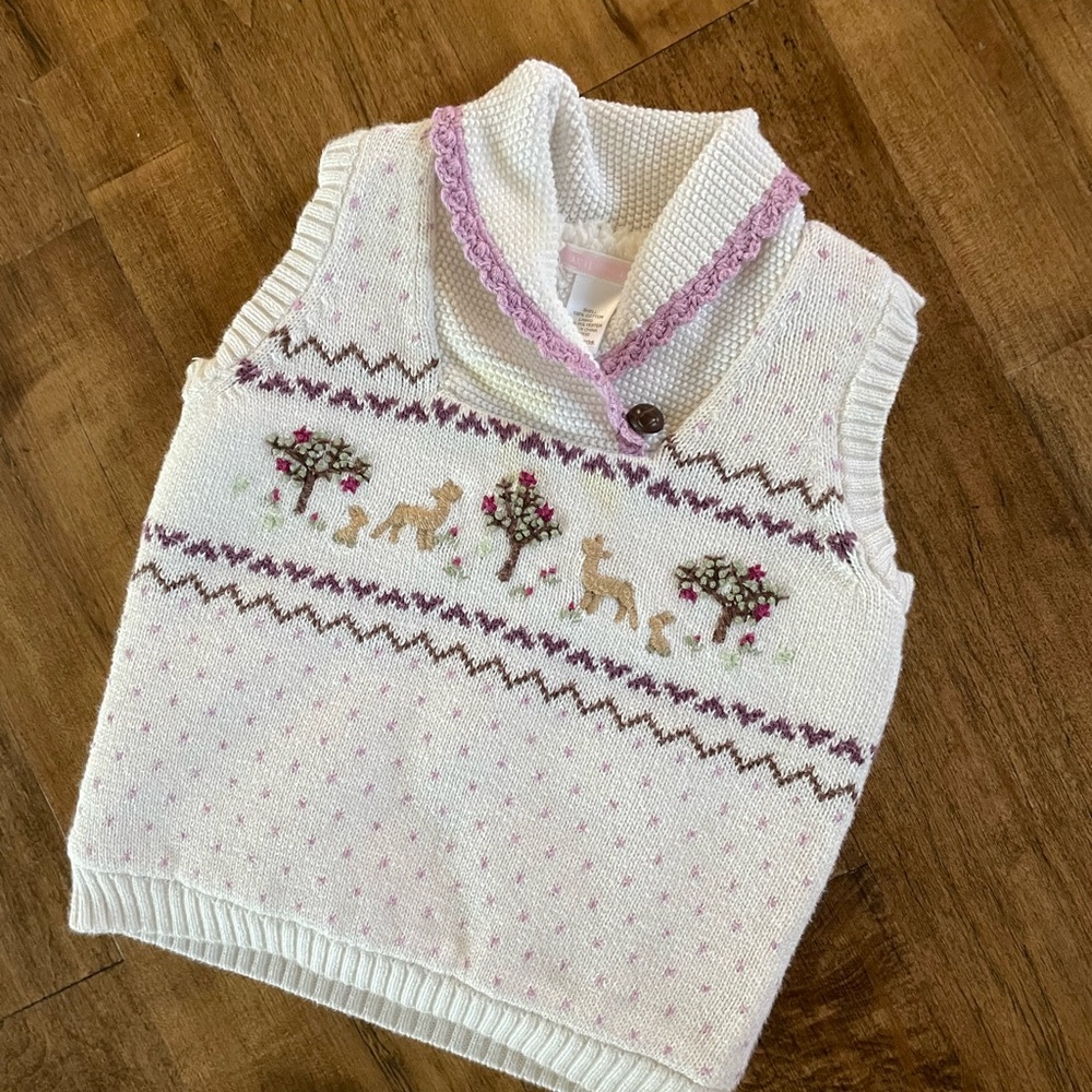 Janie and Jack sweater vest.